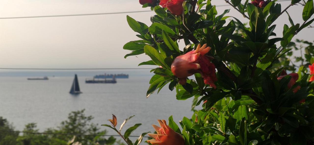Sea Sun & Me Apartment Копер Екстериор снимка